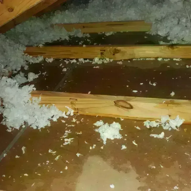 Attic Water Damage in Griffith, IN