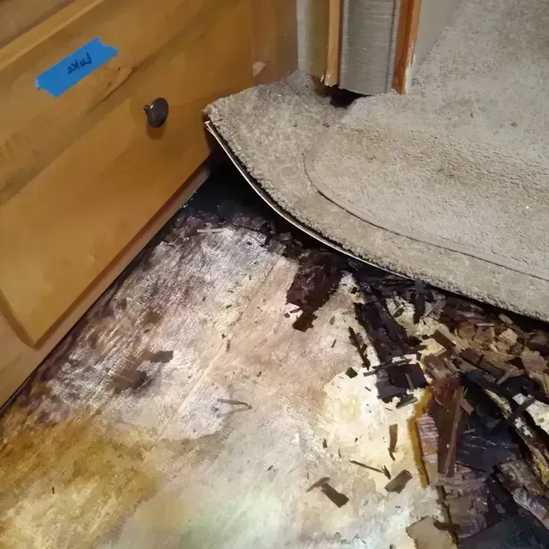 Wood Floor Water Damage in Griffith, IN